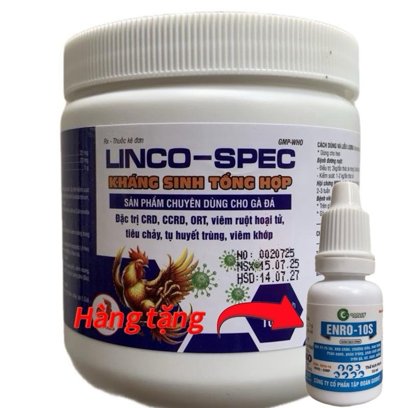 Top Selling Respiratory Drugs in 2025: Market Trends & Leaders